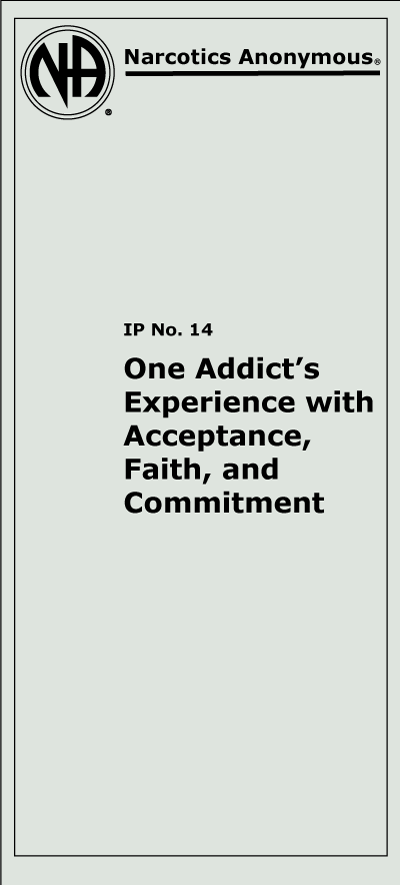 One Addict's Experience